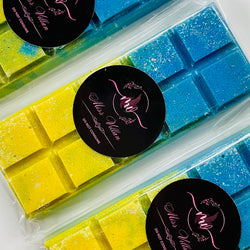 wax melt snap bars- miss Villan